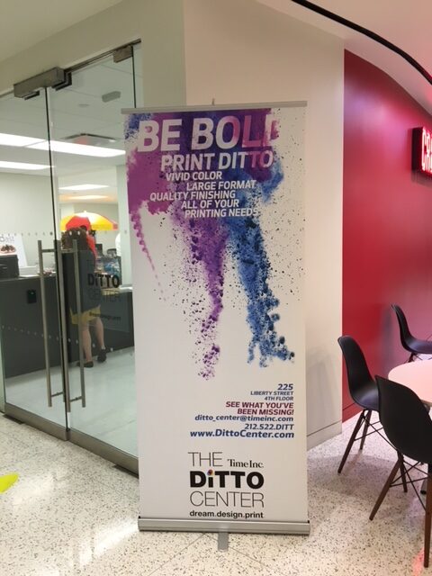 Ditto Open House 7 Rotated